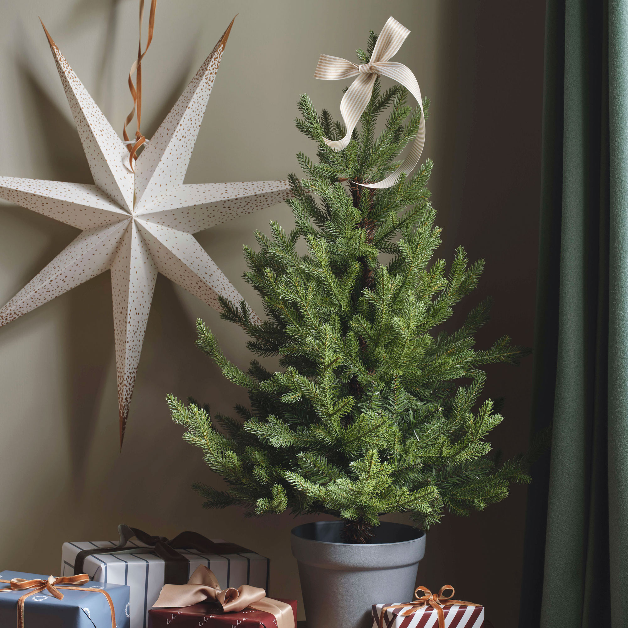 Small potted green christmas tree with a paper star behind and mini christmas presents