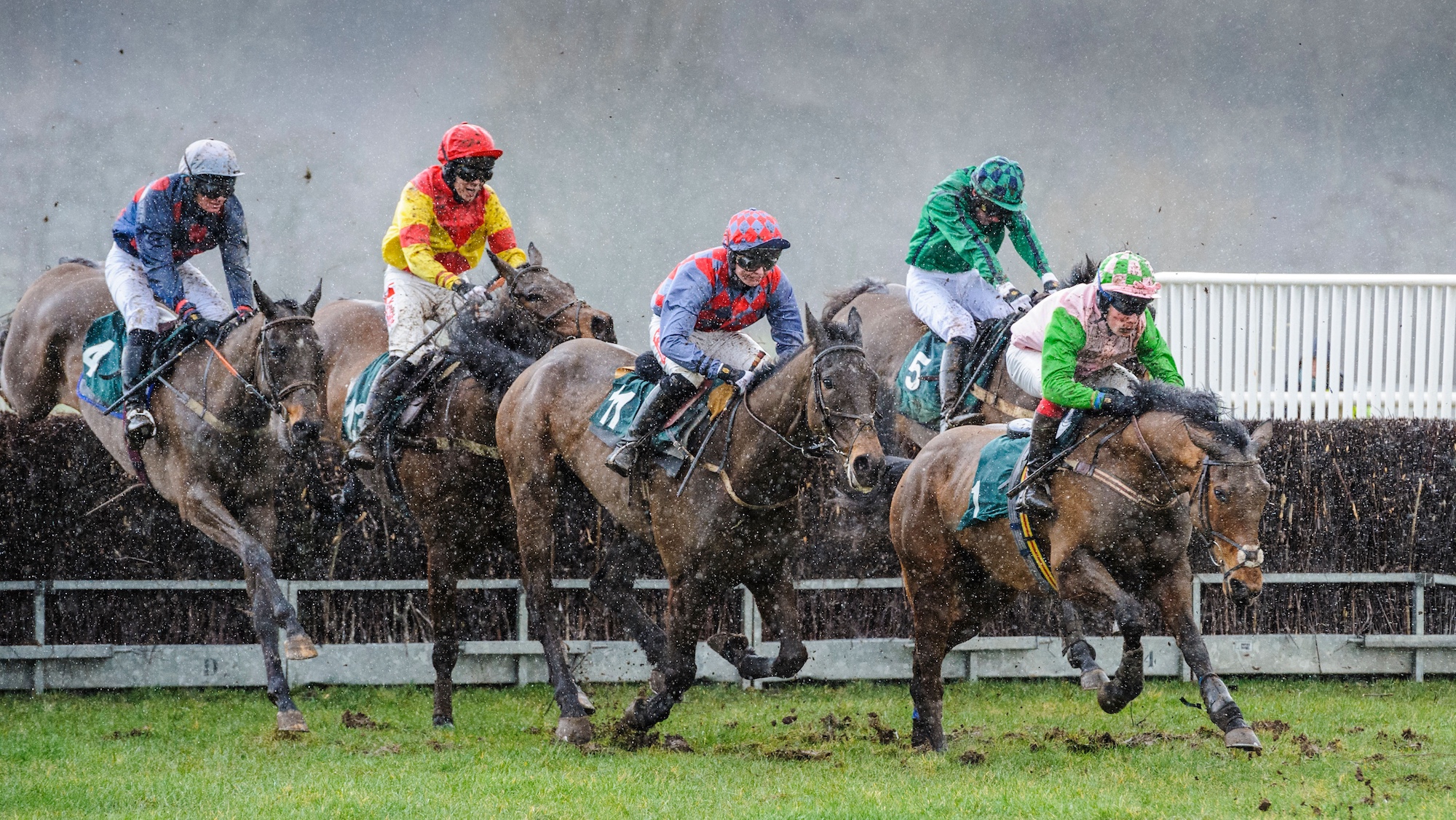 Jump racing in muddy going
