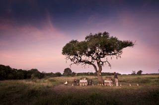 Phinda Lodge - Romantic bush dinner