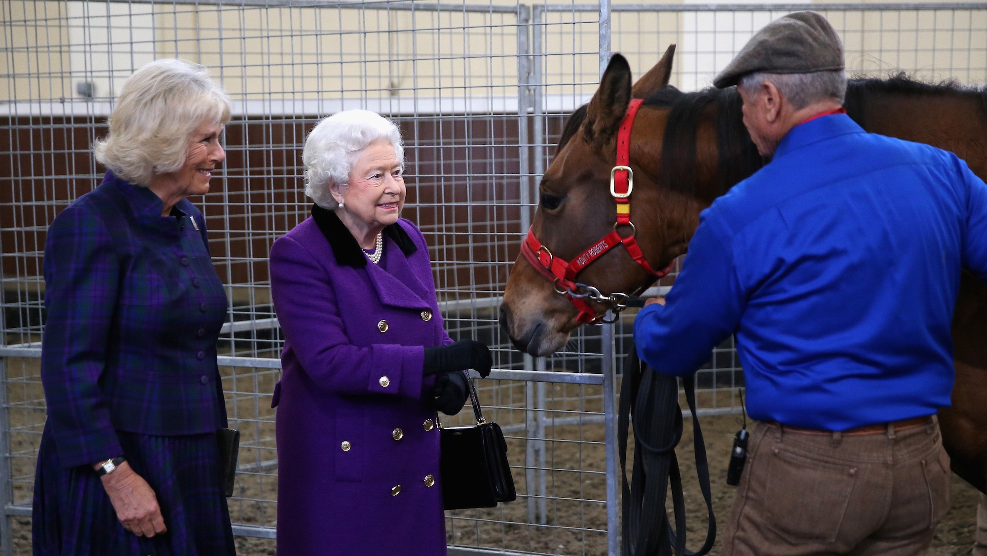 Monty Roberts with a horse, The late Queen and Camilla the present Queen