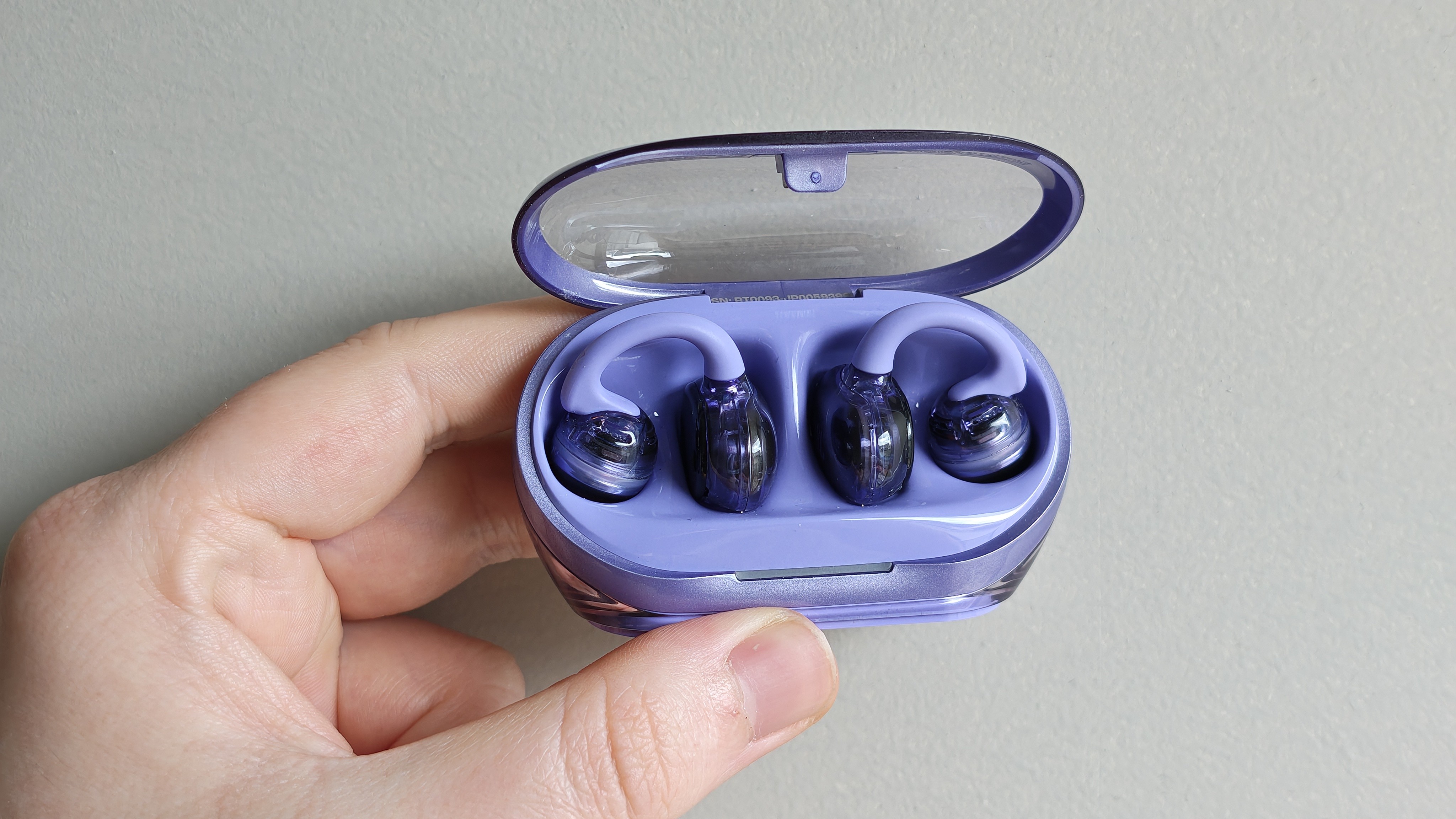 JBL Soundgear Clips