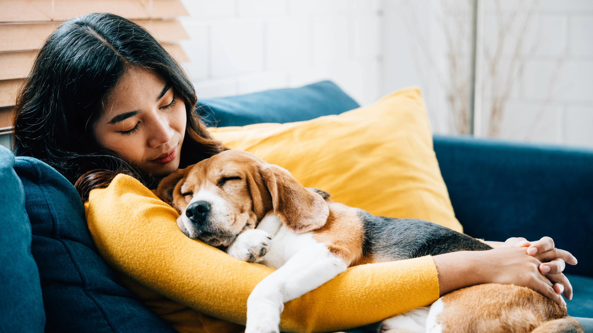 Woman sitting on a couch with a beagle dog lying on her chest and in her arms