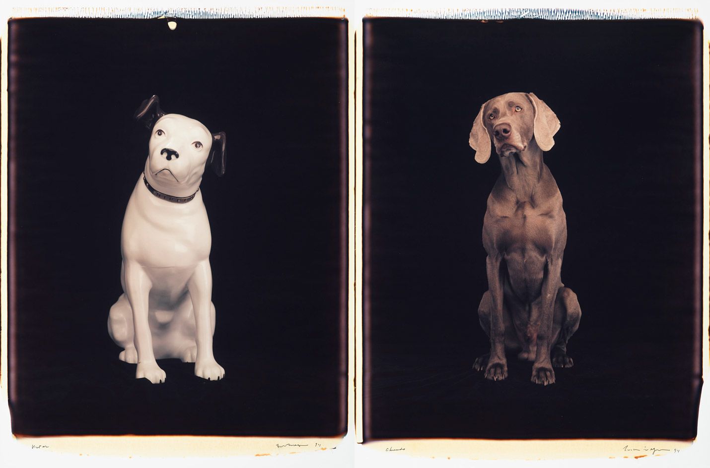 William Wegman’s unseen Polaroids are instant hits | Wallpaper