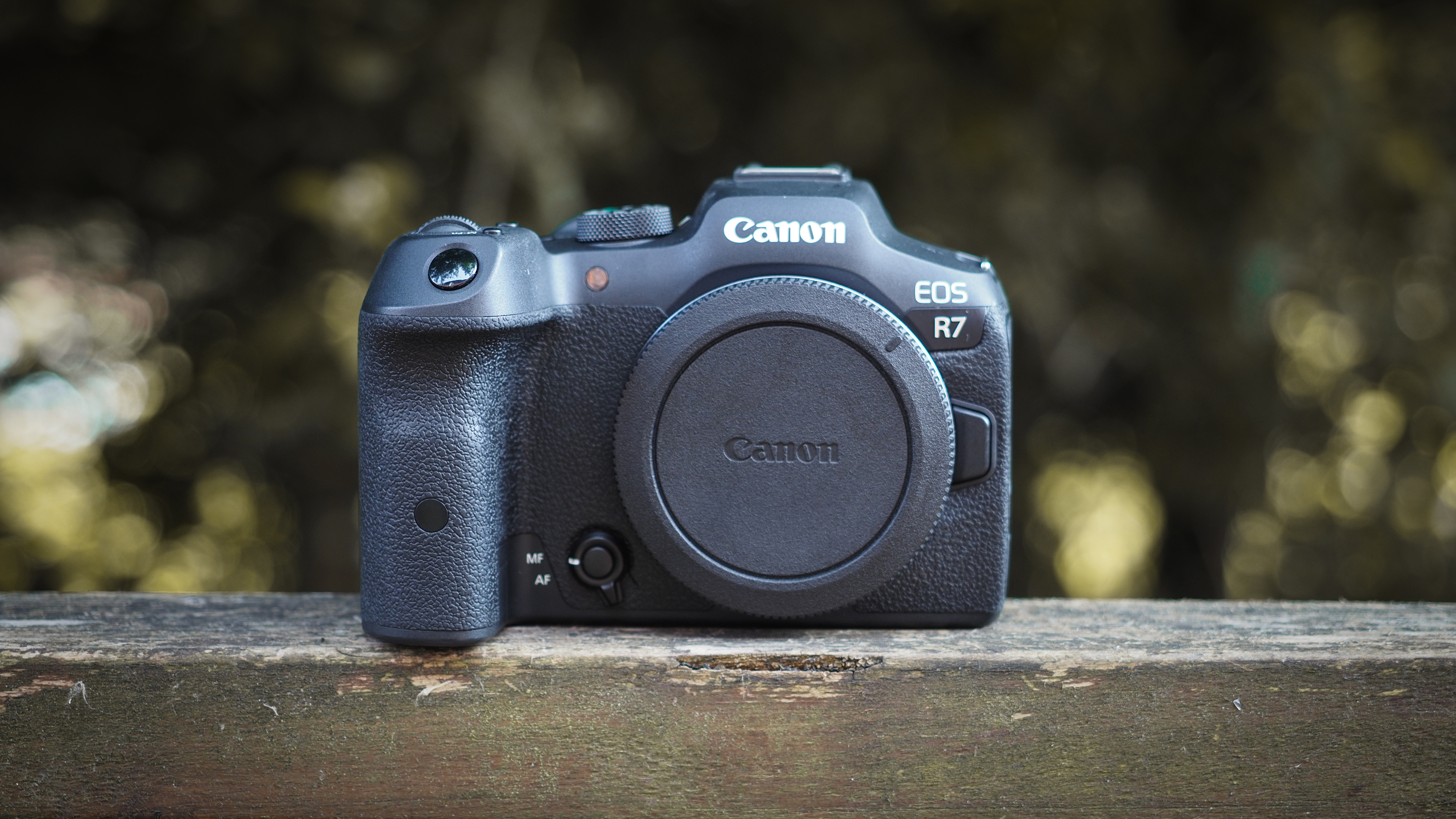 Canon APS-C cameras on a wooden surface