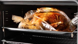 A chicken roasting in an oven bag in an oven