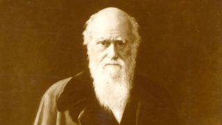 sepia portrait of charles darwin in later life on a dark background
