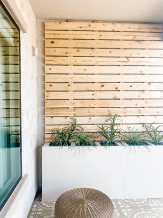 a diy trellis and planter wall