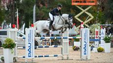 Piggy March, riding Jayne McGivern&rsquo;s stallion Halo at Pau Horse Trials 2024.