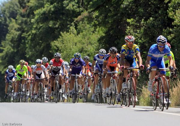 The peloton en route from Valdivia to Villarrica during stage 6.