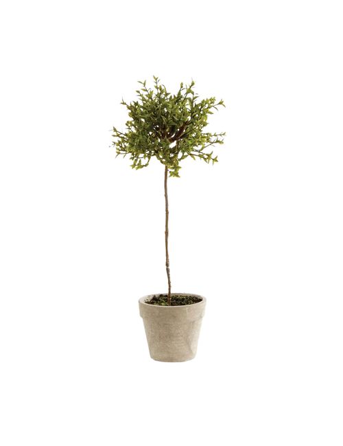 Artificial Thyme Herb Topiary Potted Plant