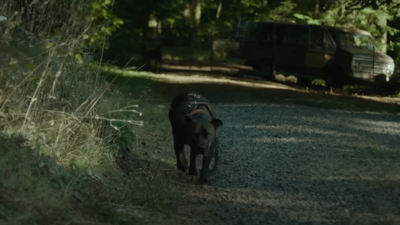 The Pitbull from Green Room