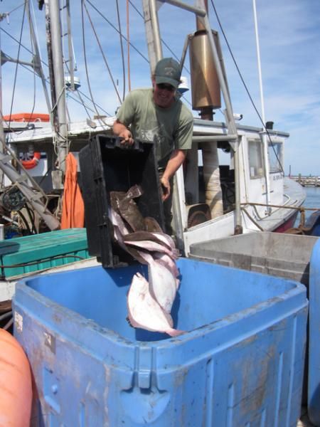 Fluke for dinner thanks to brother Tim