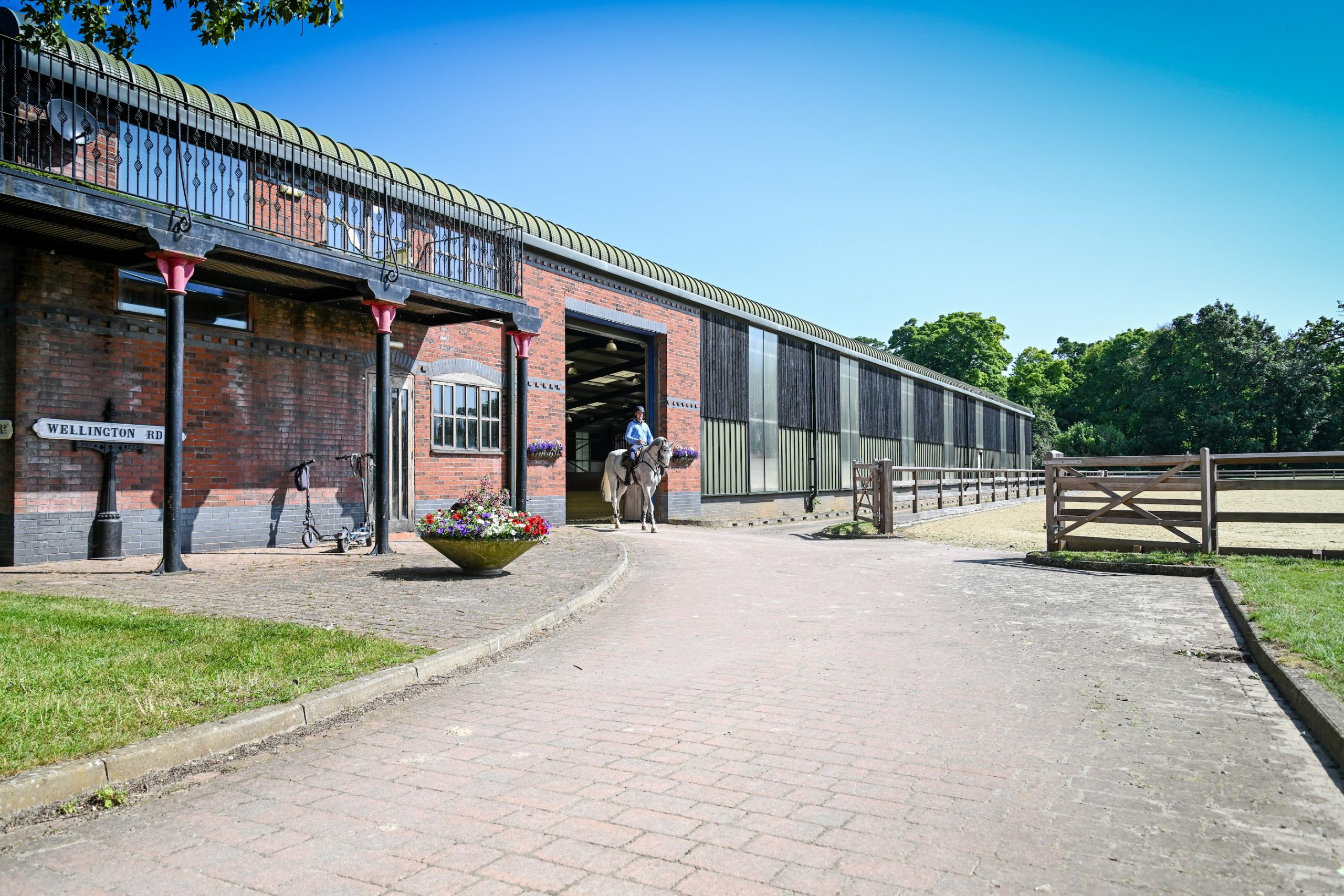 The 11-year-old Guestlist, who came from Tim Wilks, coming out of the indoor school, at Tim's stables in Unex House near Newmarket in Suffolk.