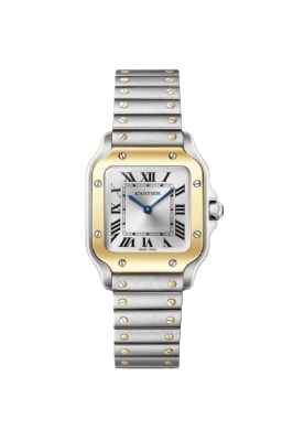 Cartier, Santos De Cartier Watch