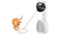 Cat playing with the Muly automatic laser toy