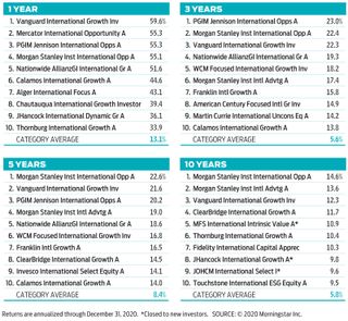 Large-company foreign stock fund winners