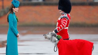 Kate Middleton meets Seamus, the mascot greyhound of the Irish Guard