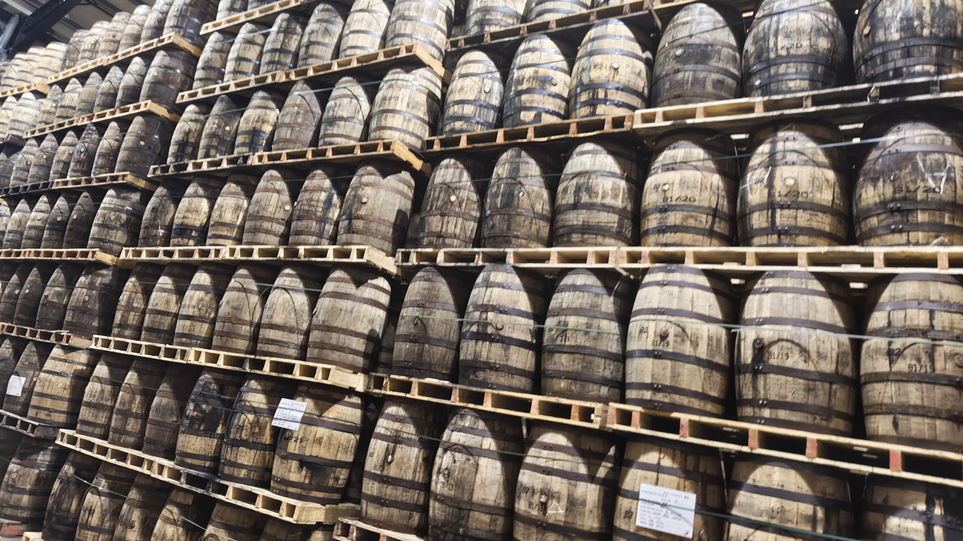 Midleton Distillery