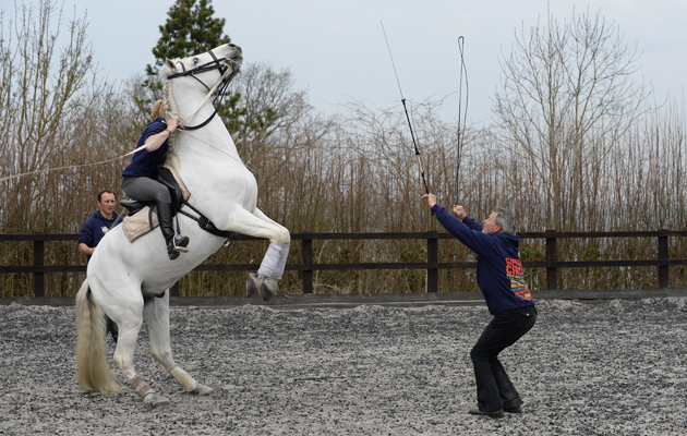 Giffords Circus on 10 04 2015