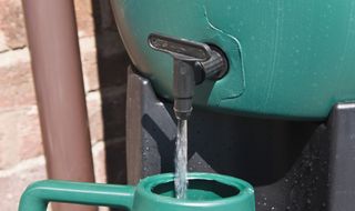 Harvesting Rainwater - water butts