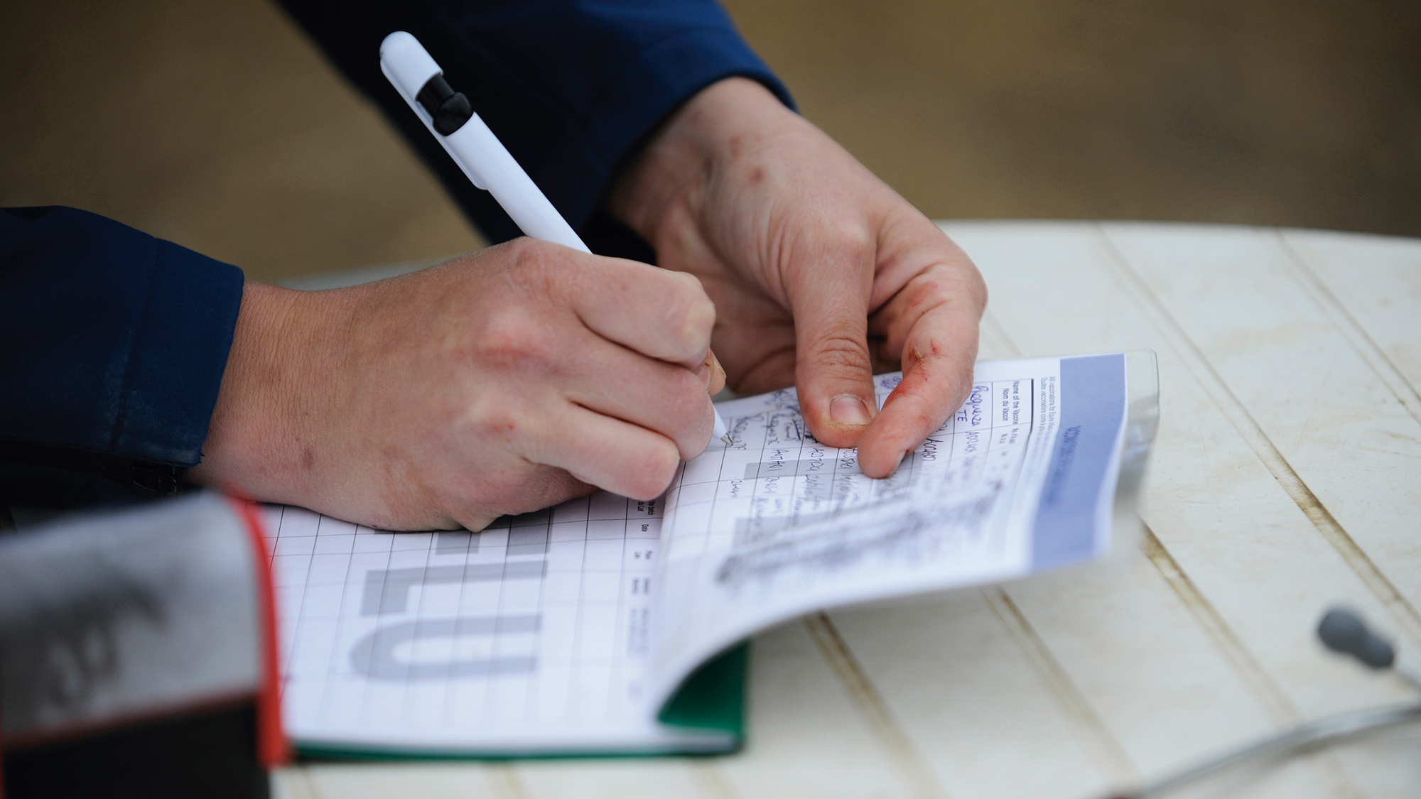 A vet completing the flu vaccinations section of a horse's passport