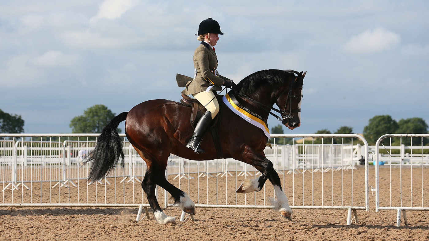1392 Catherine Hudson Gwynfaes Macsen Wledig (Pretty Polly supreme)