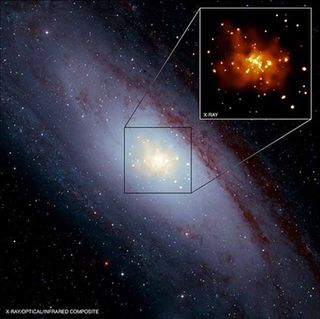 What Makes Supernovas Go Boom 