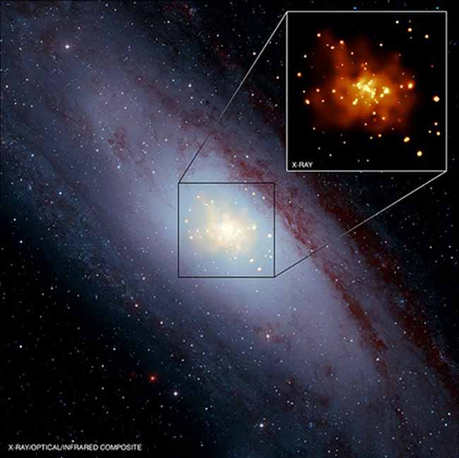 What Makes Supernovas Go Boom 