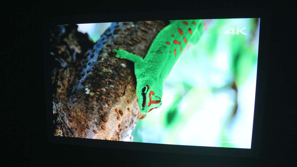 Projector sample image