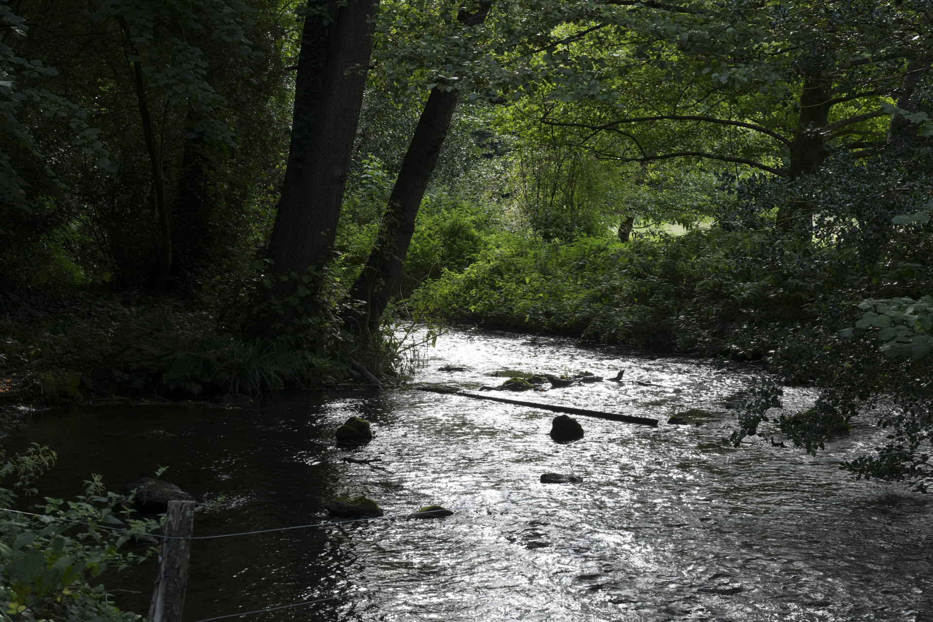 A stream reflecting bright light, taken with the Sony FE 20-70mm F4 lens and A7C R