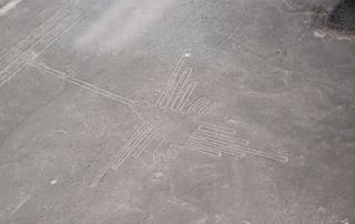 Scientists analyzed the bird-shaped Nazca Lines, finding that this geoglyph that was thought to show a hummingbird is really a bird called a hermit.