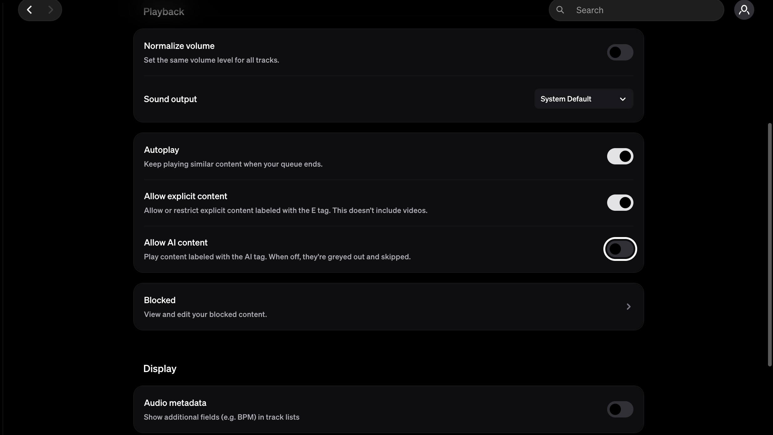 Screenshot of Tidal's allow AI content switch