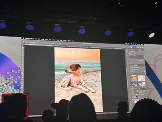 Dog on background in Photoshop