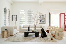 white living room with white sofa and chairs and a dog 