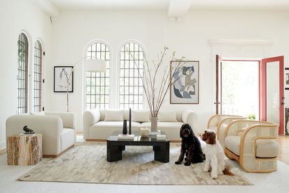 white living room with white sofa and chairs and a dog 