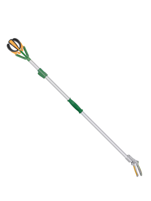 Zenport Long Reach Telescopic Fruit Picker