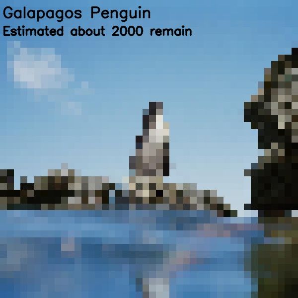 Pixelated images of endanger species