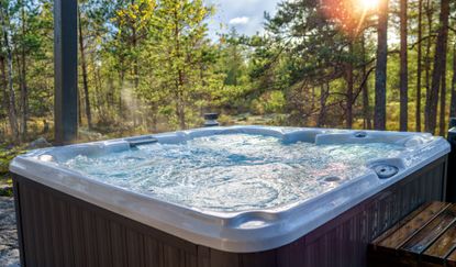 Best hot tubs - a plug-and-play hot tub in a forest garden at sunset