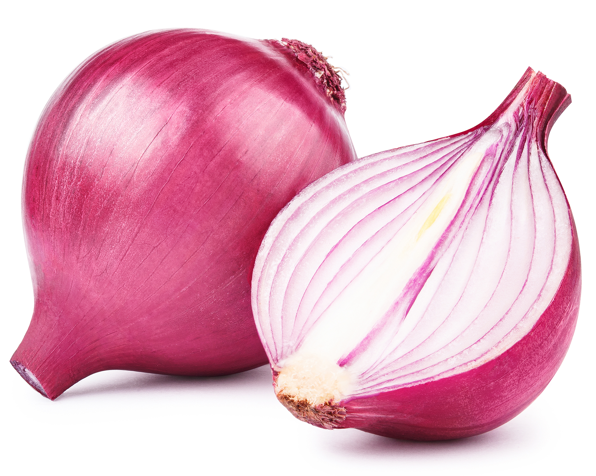Fresh red onions on white background