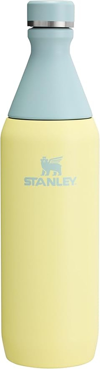 Stanley All Day Slim Bottle (20 oz)