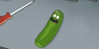 Pickle Rick Rick And Morty Adult Swim