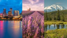A composite image of three of the best places to visit in July showing (L-R) Portland, Oregon, Provence, France and Denali National Park, Alaska.