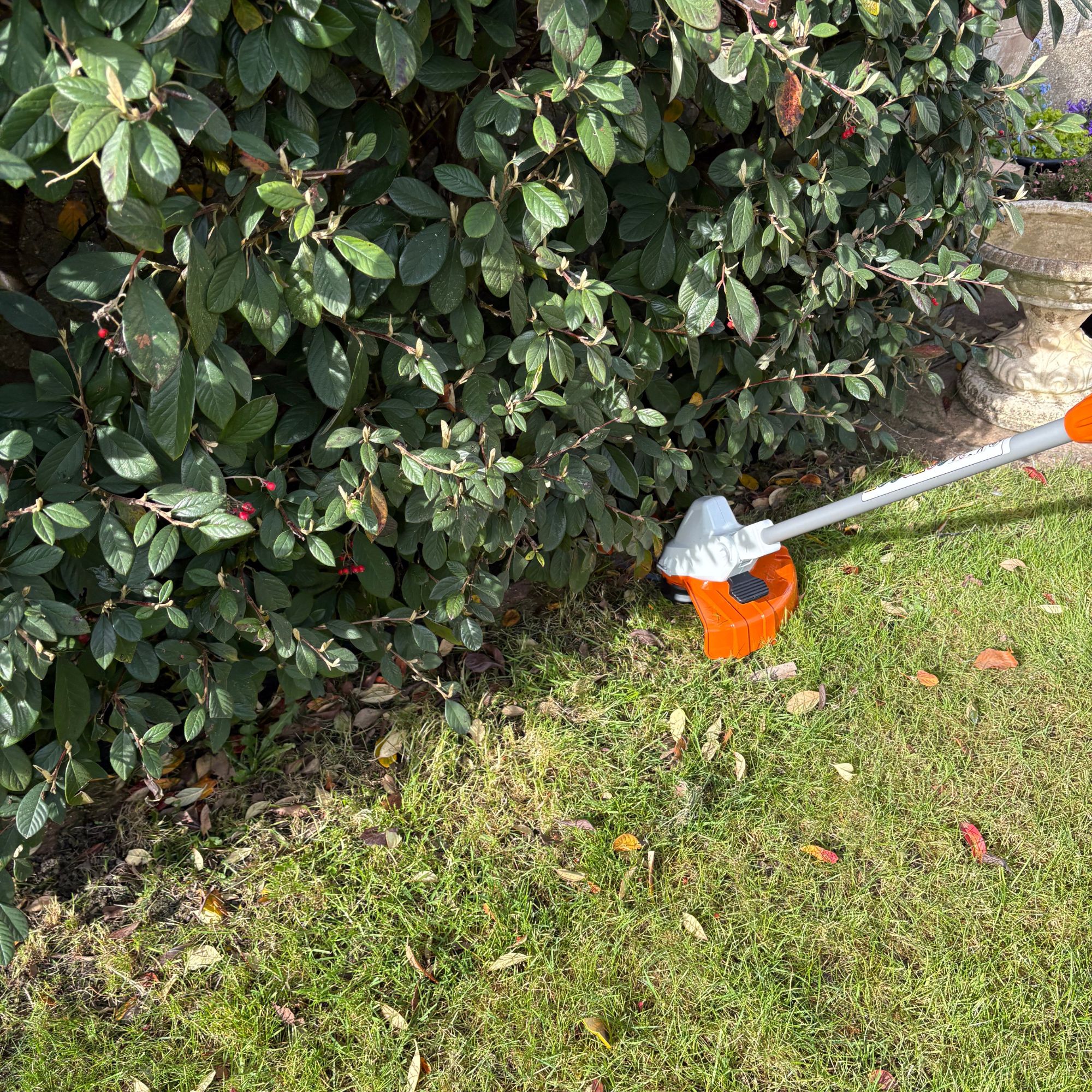 STIHL FSA 50 Cordless Grass Trimmer cutting grass under shrub in garden