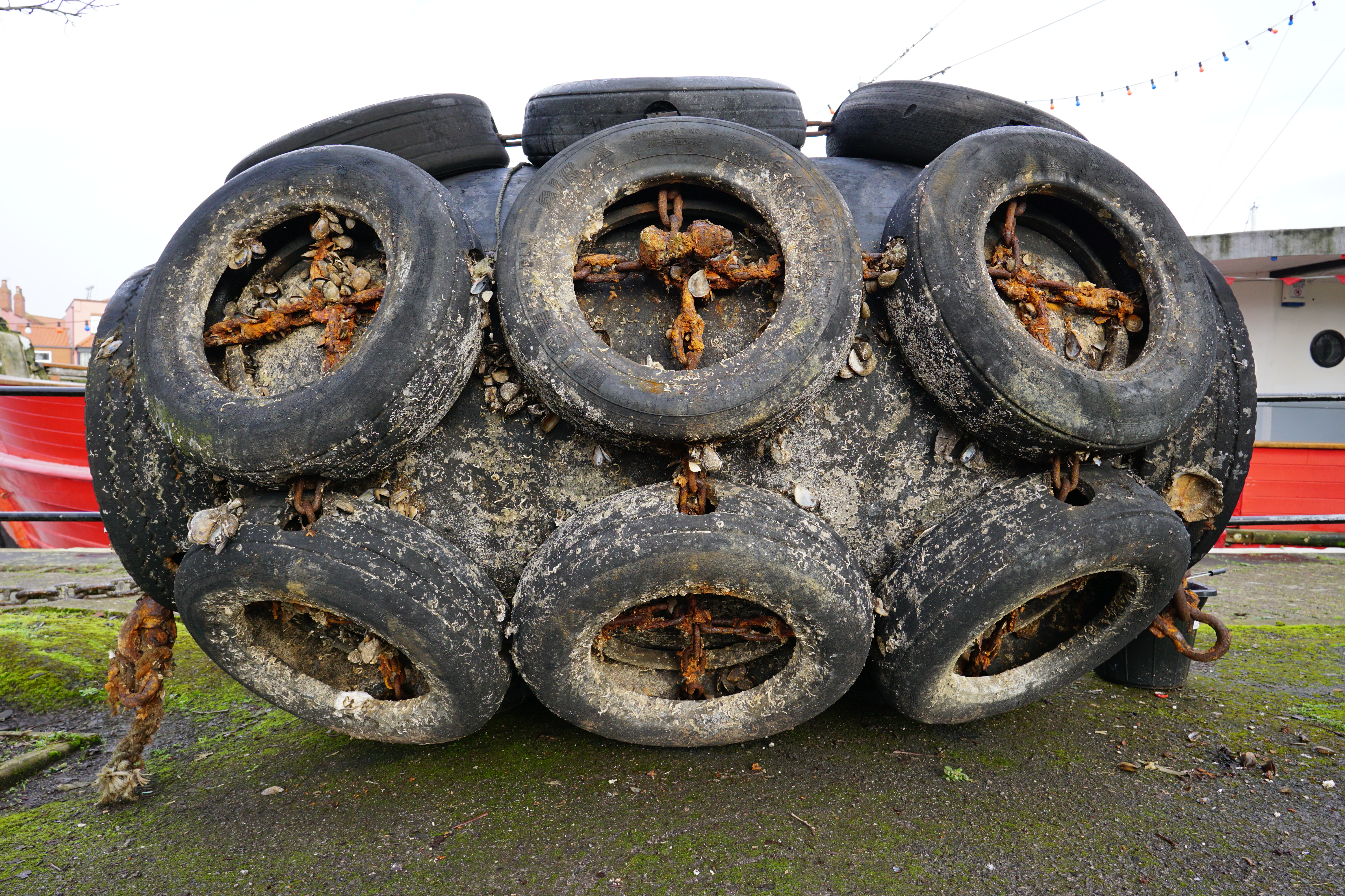 Sigma 15mm f/1.4 DC | C sample image