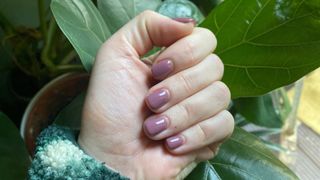 Fiona's Biab nails two weeks on