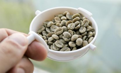 The raw, green coffee bean may contain a natural weight loss substance that disappears when roasted.