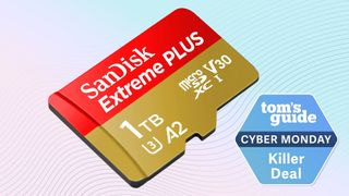 A SanDisk Extreme Plus 1TB microSD card