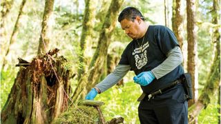 A man wearing gloves sets up research equipment on a tree stump in the forest