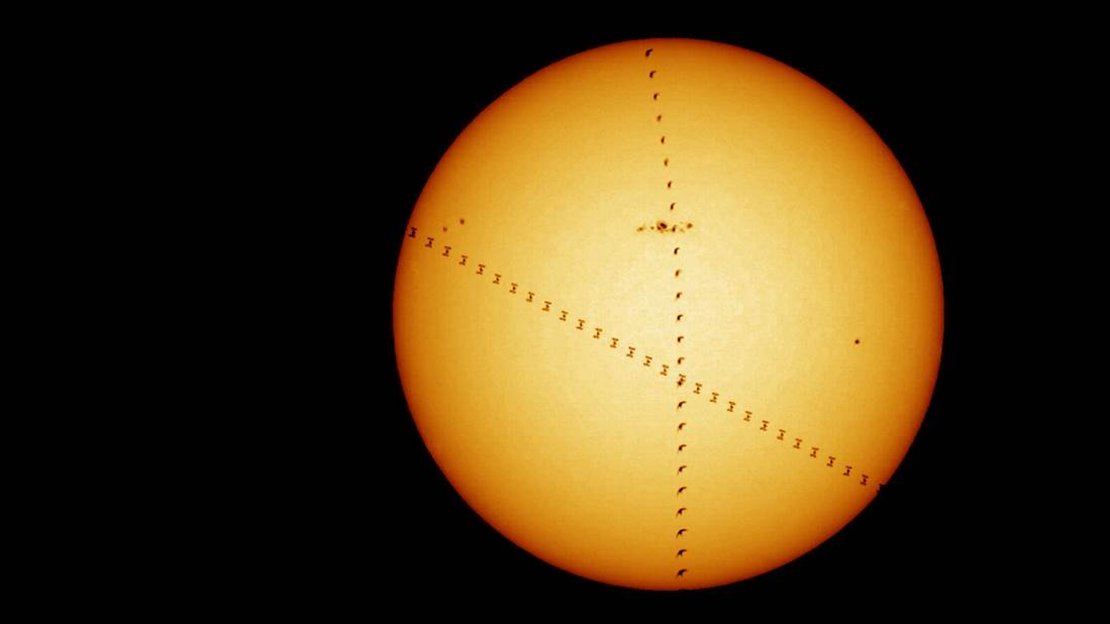 Bird, Iss and sun