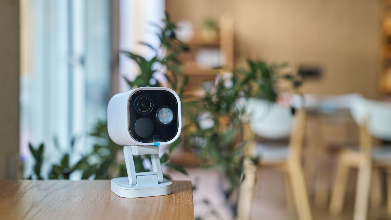 A security camera on a wooden table with a plant behind it